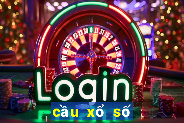 cầu xổ số đồng nai