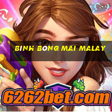 bình bông mai malay