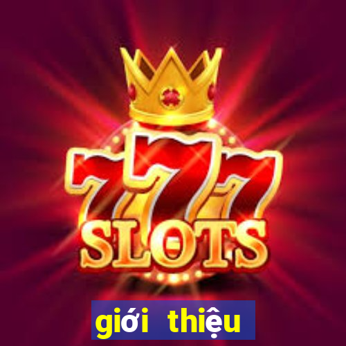 giới thiệu luật chơi poker