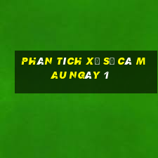 Phân tích Xổ Số Cà Mau ngày 1