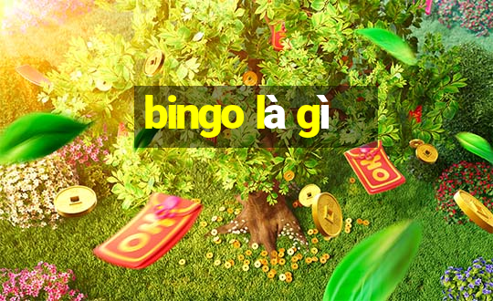 bingo là gì