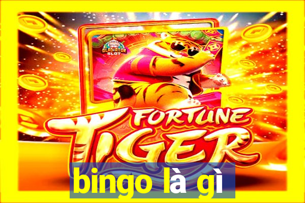 bingo là gì