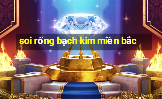 soi rống bạch kim miền bắc