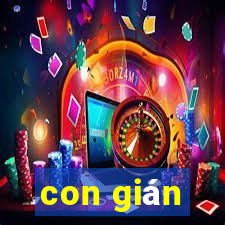 con gián