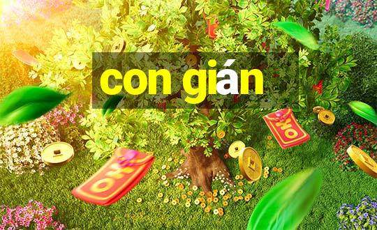 con gián