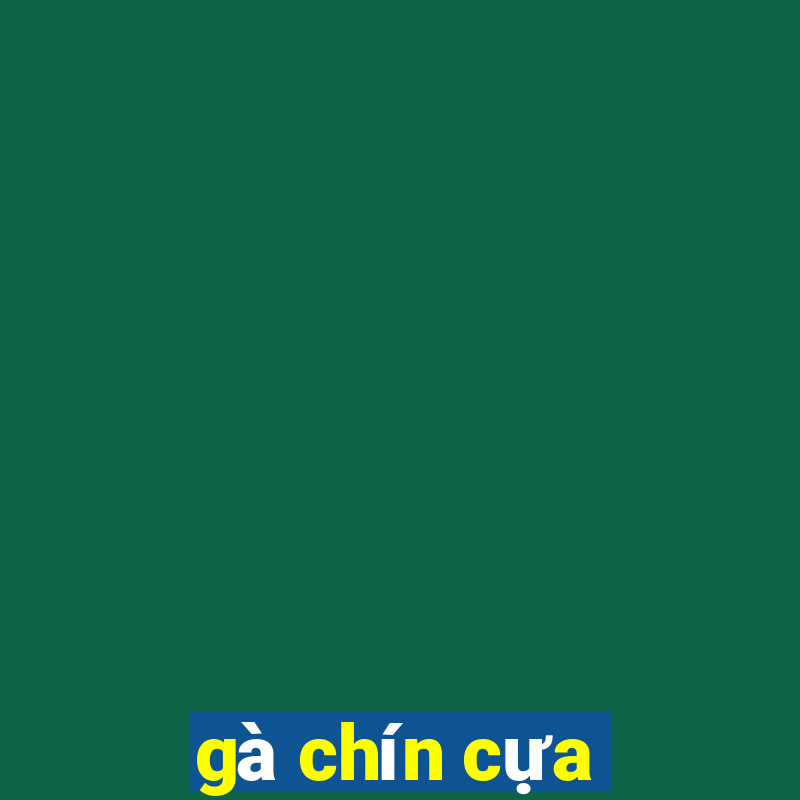 gà chín cựa