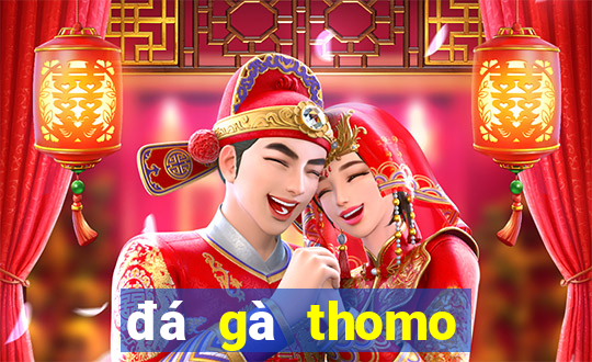 đá gà thomo trực tiếp hôm