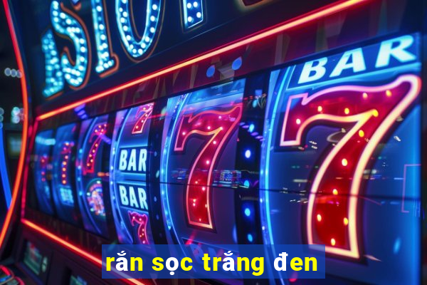 rắn sọc trắng đen