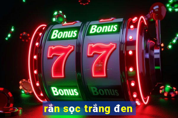 rắn sọc trắng đen