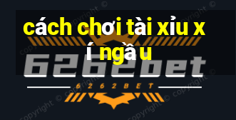 cách chơi tài xỉu xí ngầu