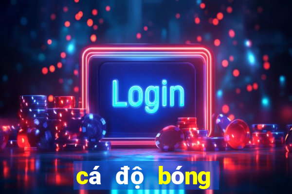 cá độ bóng đá euro