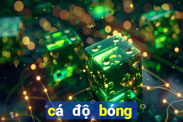 cá độ bóng đá euro