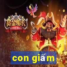 con giấm