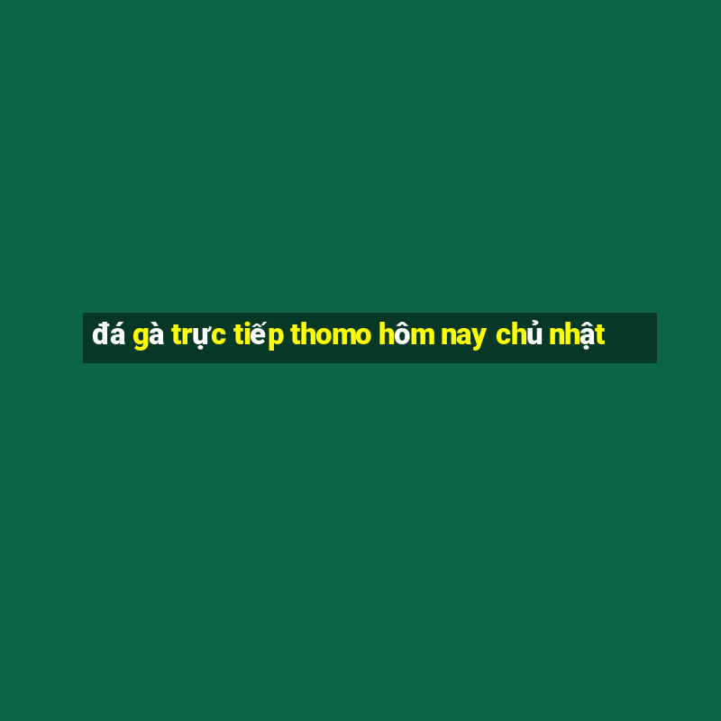 đá gà trực tiếp thomo hôm nay chủ nhật