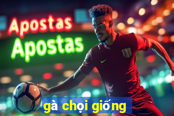 gà chọi giống