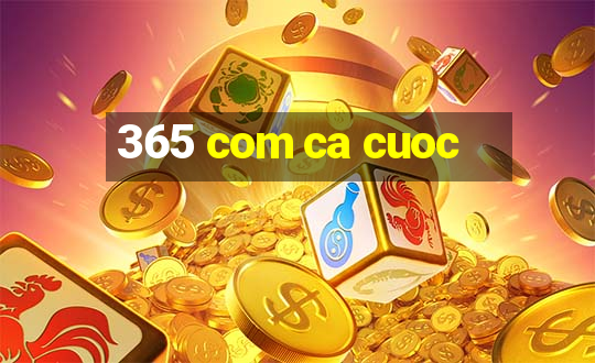 365 com ca cuoc