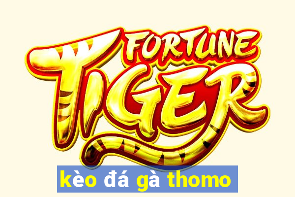 kèo đá gà thomo