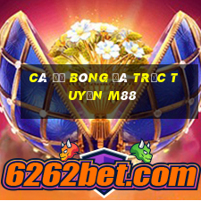 cá độ bóng đá trực tuyến m88