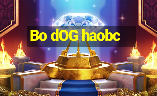 Bo dOG haobc