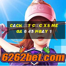 Cách đặt cược XS Mega 6 45 ngày 1