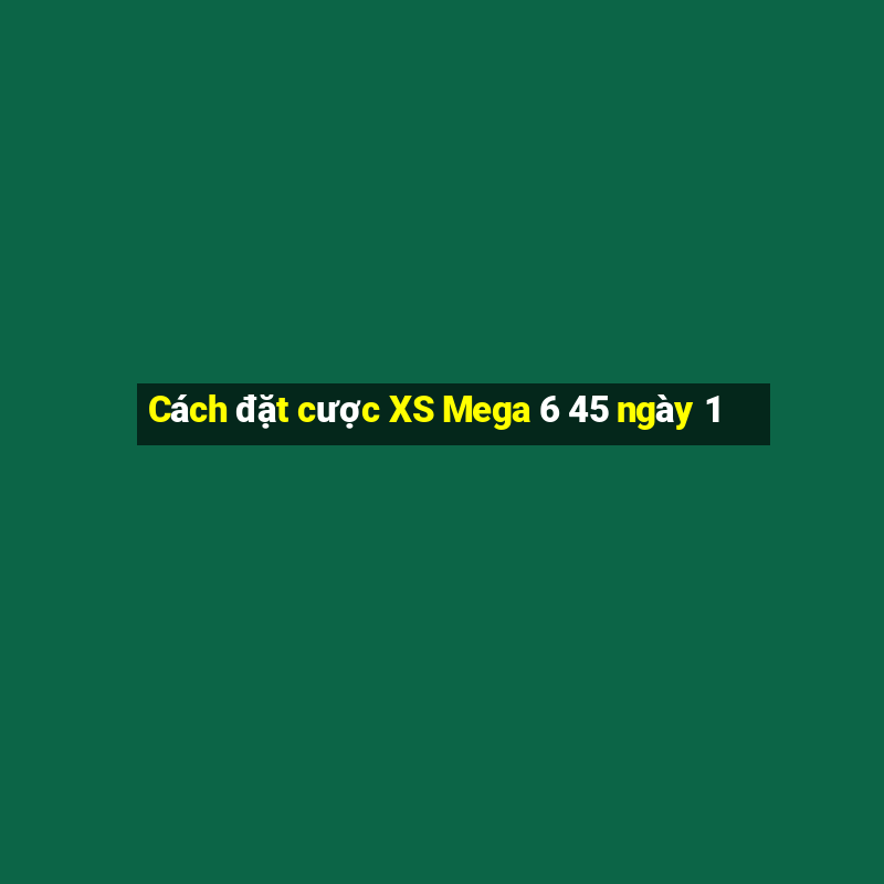 Cách đặt cược XS Mega 6 45 ngày 1