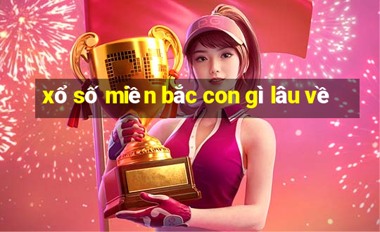 xổ số miền bắc con gì lâu về