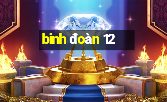 binh đoàn 12