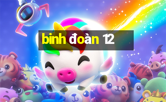 binh đoàn 12