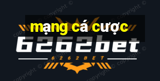 mạng cá cược