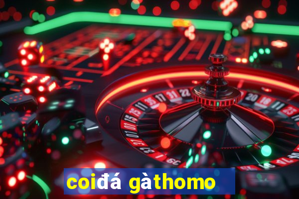 coi đá gà thomo