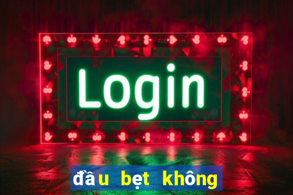 đầu bẹt không thông minh