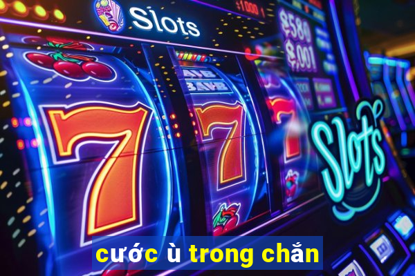 cước ù trong chắn