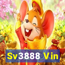 Sv3888 Vin