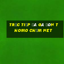 trực tiếp đá gà đòn thomo chấm net