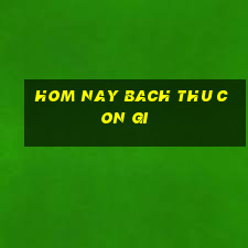 hom nay bach thu con gi