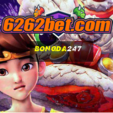 bongda247