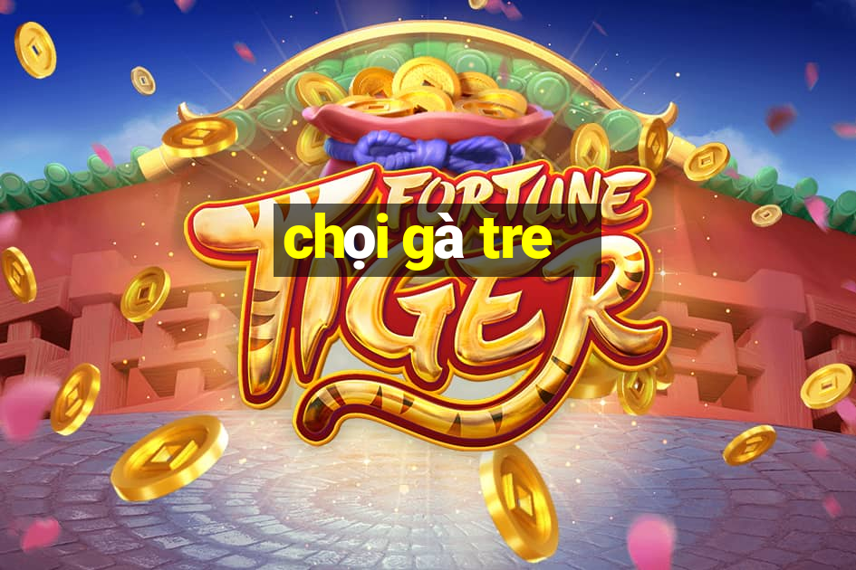 chọi gà tre