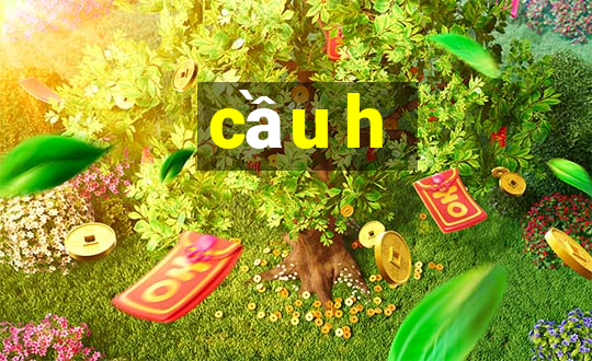 cầu h