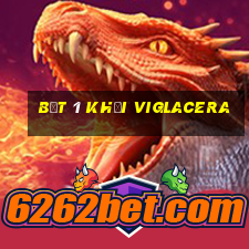 bệt 1 khối viglacera