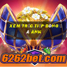 xem trực tiếp bóng đá anh