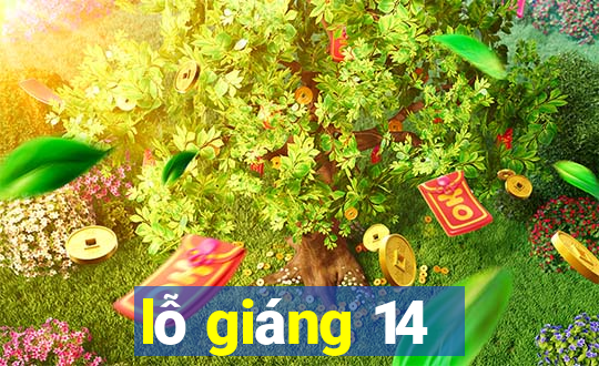 lỗ giáng 14