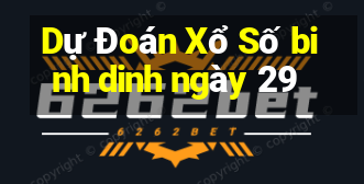 Dự Đoán Xổ Số binh dinh ngày 29