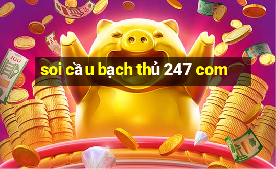 soi cầu bạch thủ 247 com