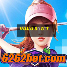 nohu bị bắt