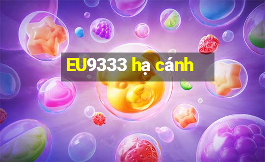 EU9333 hạ cánh