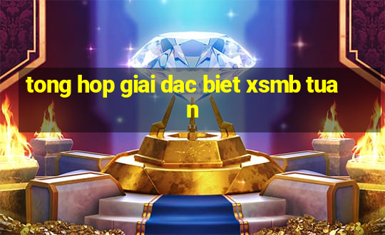 tong hop giai dac biet xsmb tuan