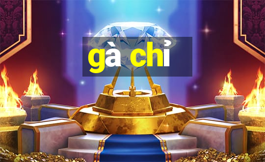 gà chỉ