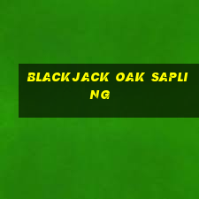 blackjack oak sapling