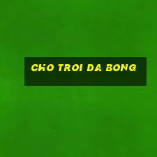 cho troi da bong