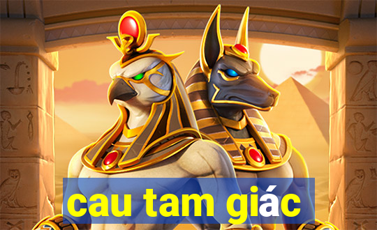 cau tam giác